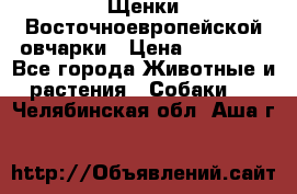 Щенки Восточноевропейской овчарки › Цена ­ 25 000 - Все города Животные и растения » Собаки   . Челябинская обл.,Аша г.